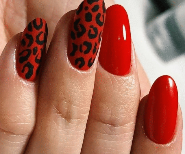 Get Wild with Your Mani – Designs for a Bold Look